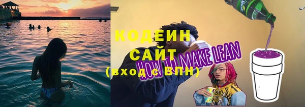 прущие крисы Бородино