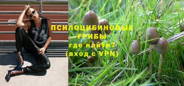 винт Бронницы