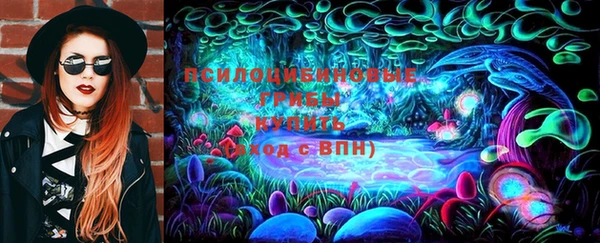 винт Бронницы