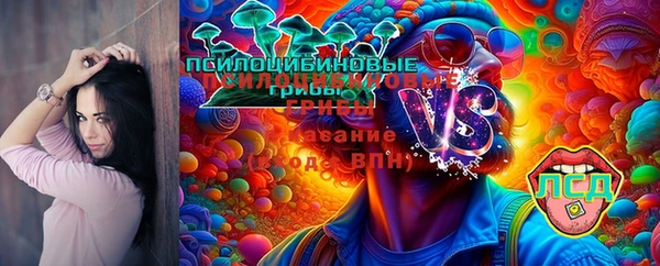 прущие крисы Бородино