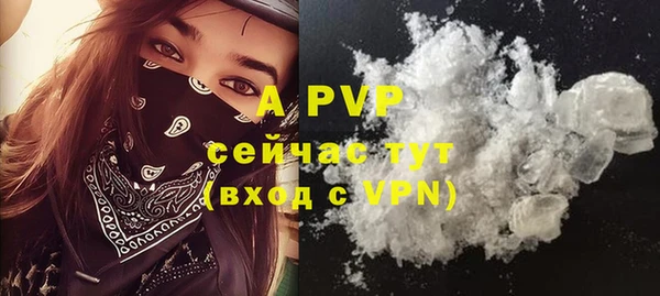 гидра Богданович