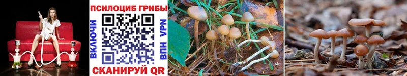 Псилоцибиновые грибы Magic Shrooms  Электроугли 